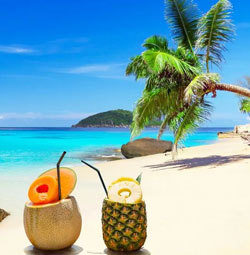 Holidays